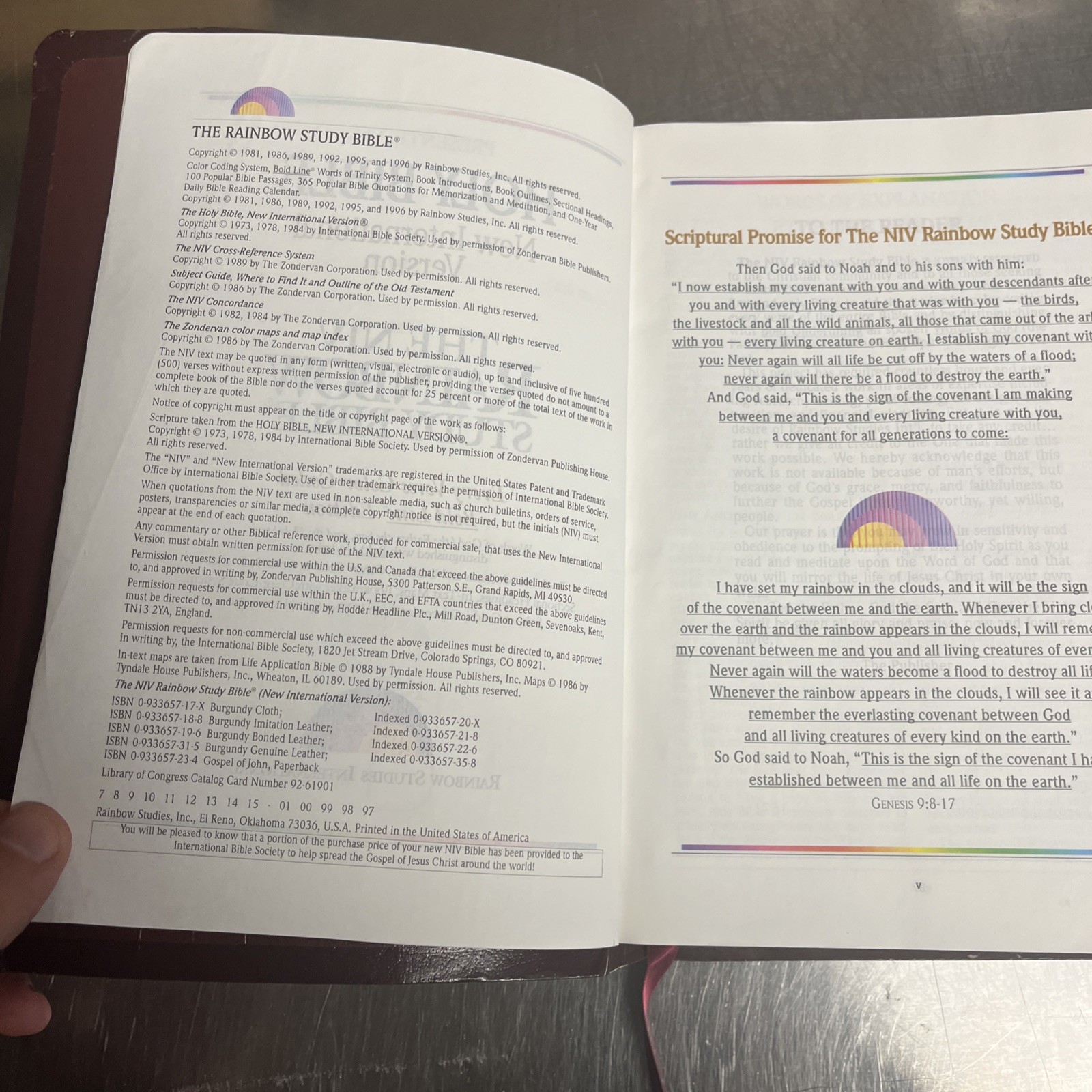 The NIV Rainbow Study Bible Bold Line Edition Illustrated English