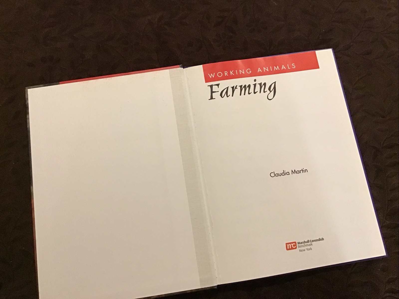 Farming WORKING ANIMALS series Claudia Martin