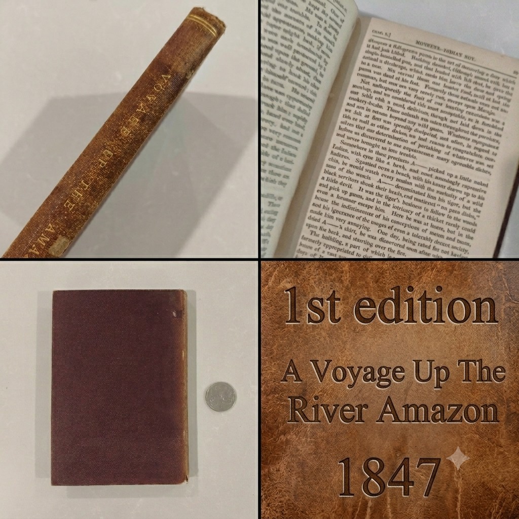 A Voyage Up The River Amazon 1847 First Edition William H Edwards Antique RARE