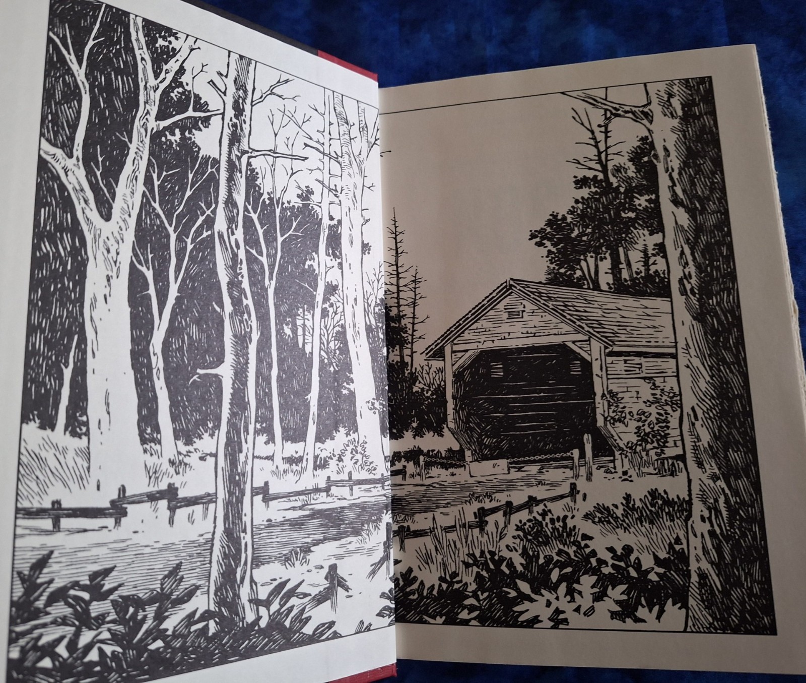 Joe Hill NOS4A2 Special Bound Signed. Pub. 1st Ed. W/Vampire Doodle Brand New