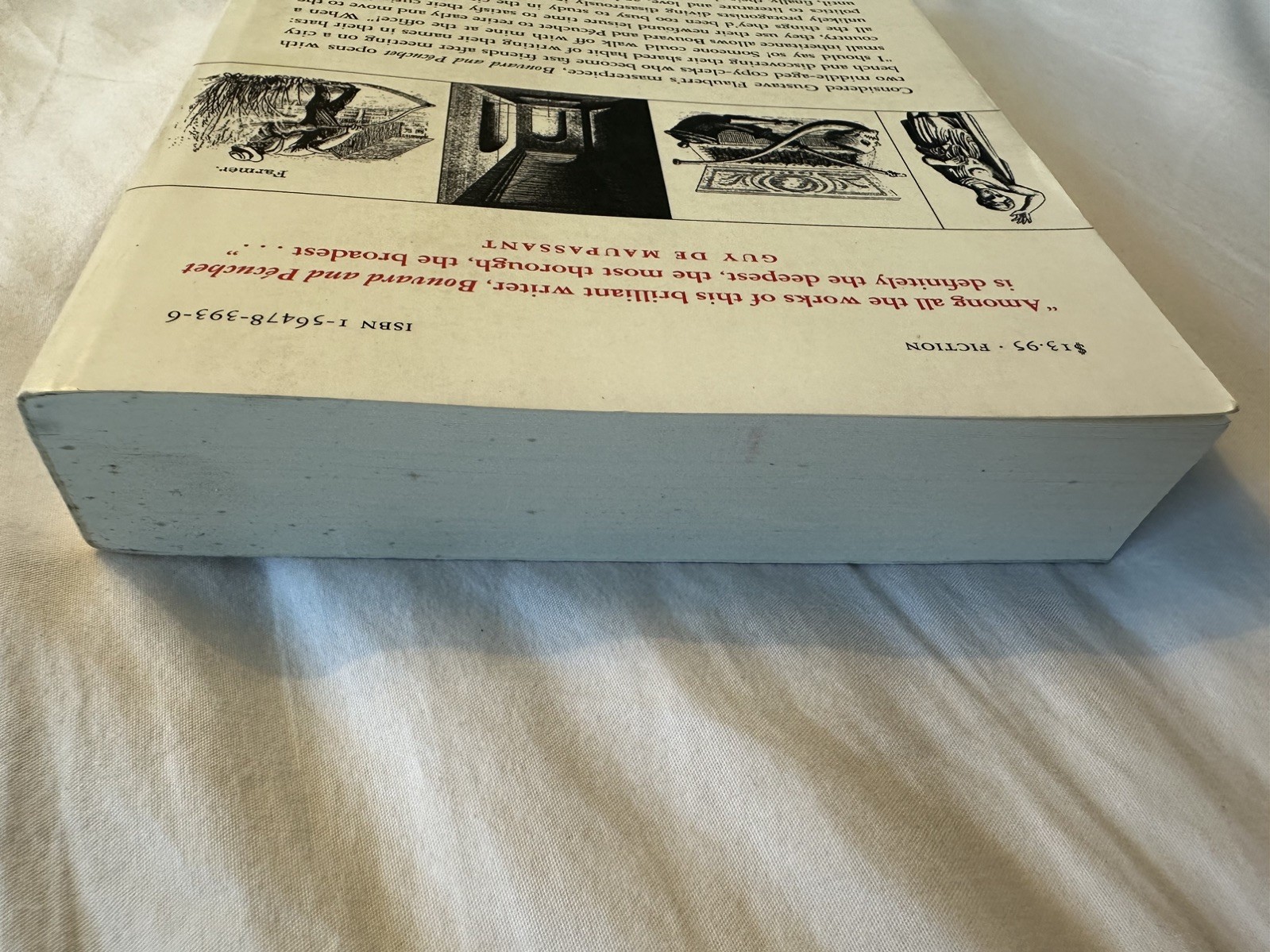 Bouvard and Pecuchet by Gustave Flaubert Paperback Dalkey Archive Press