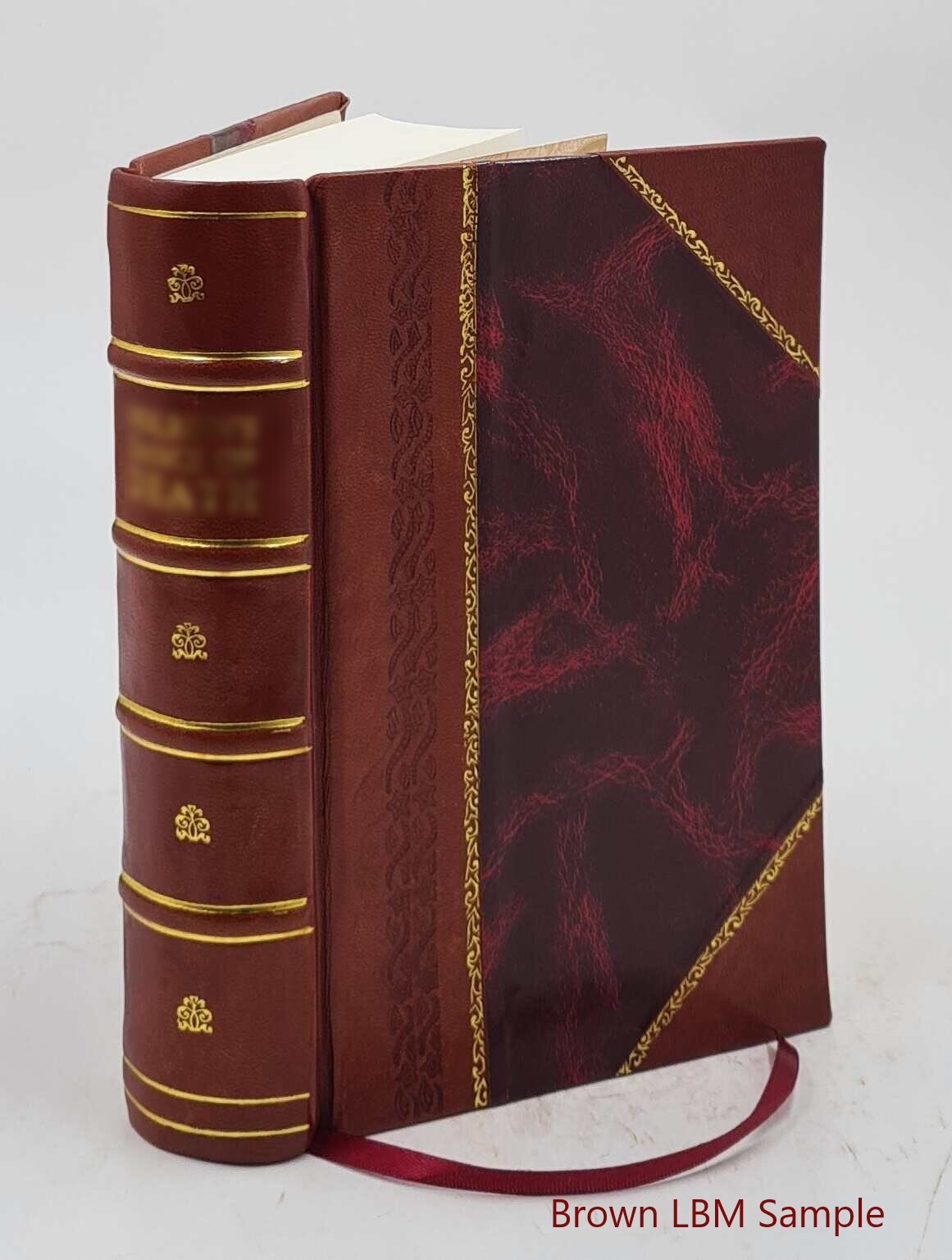 Vitalogy Or Encyclopedia Of Health And Home 1906 [Leather Bound]
