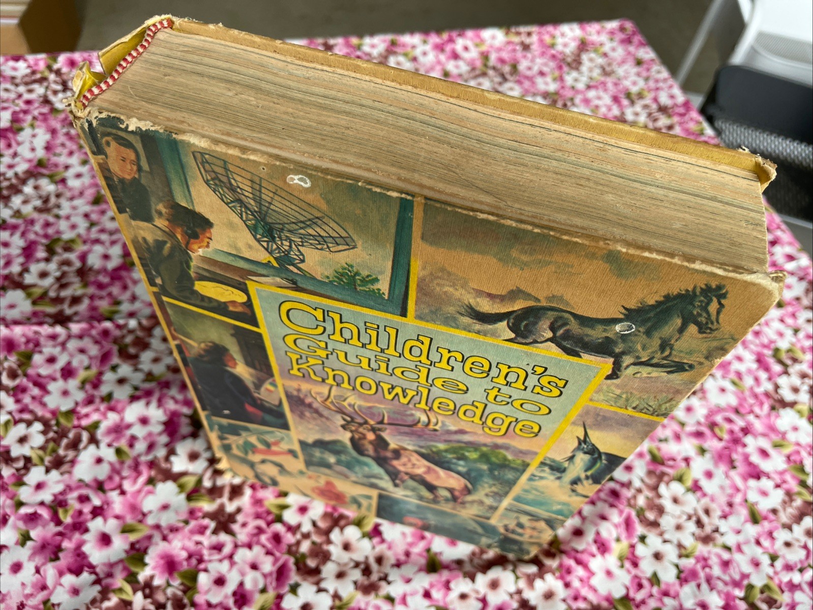 Children’s Guide to Knowledge Parents’ Magazine Press (1974 VTG Illustrated HC)
