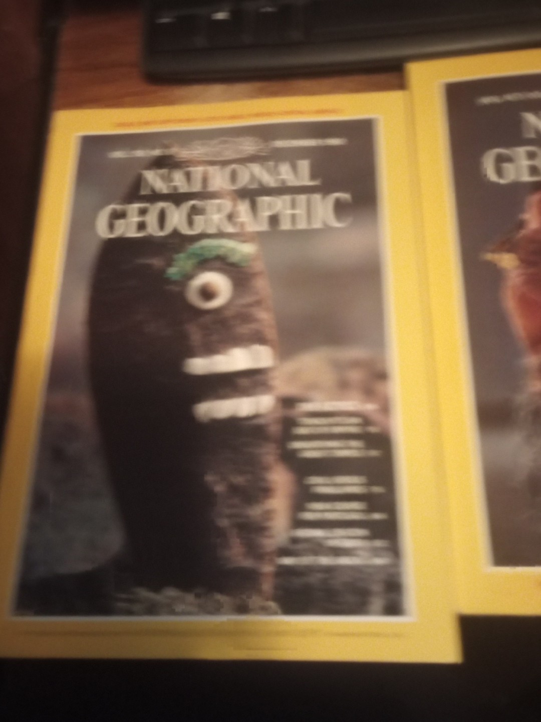 National Geographic Magazines 1976- 1983 You Pick The Issues 2.50-4.00
