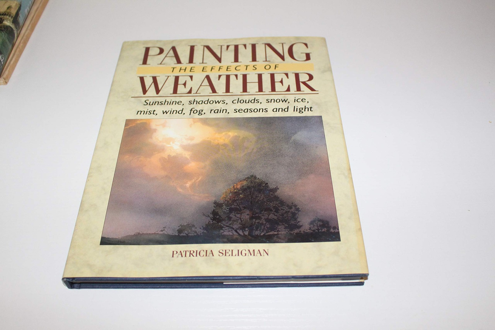 Painting the Effects of Weather