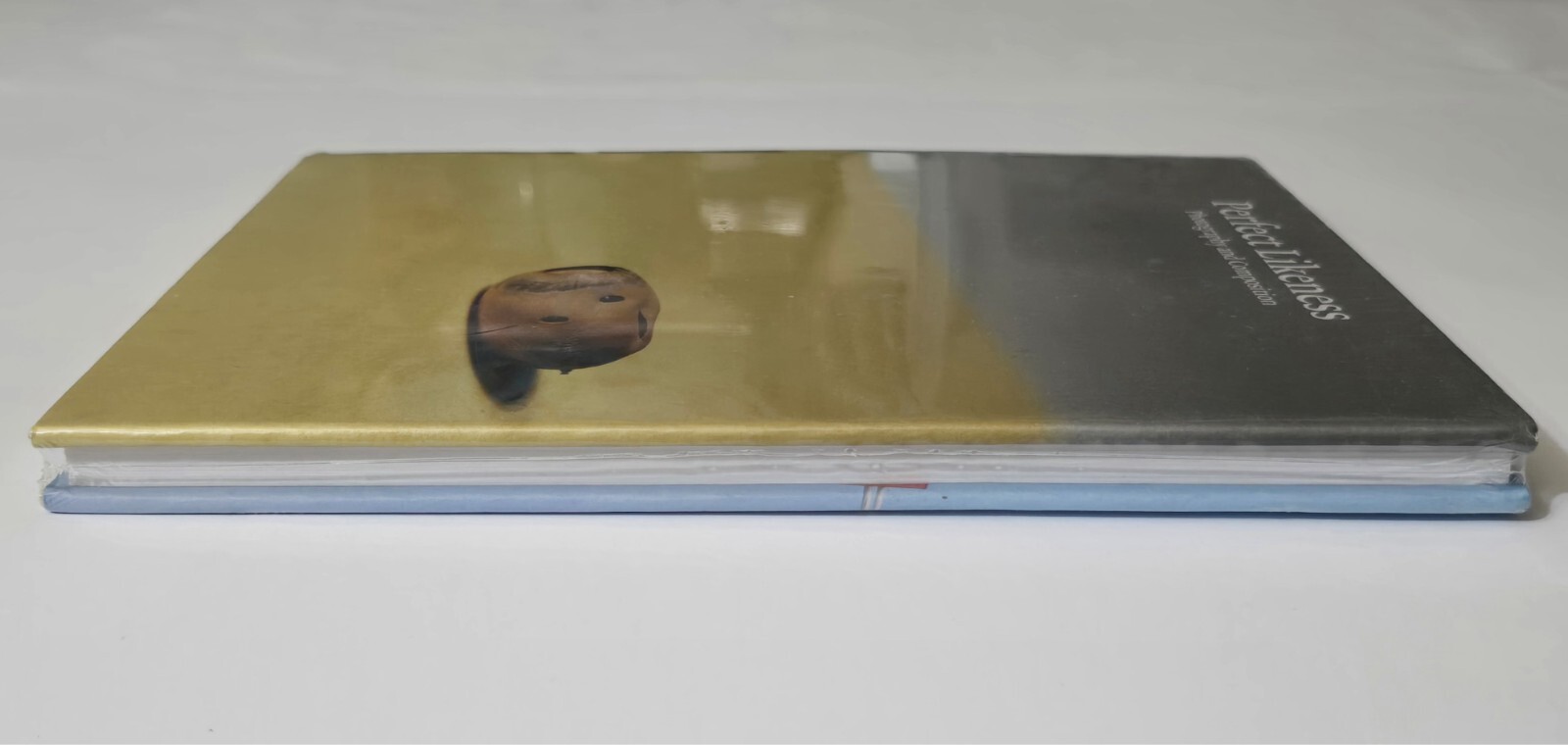 PERFECT LIKENESS SEALED WILLIAM EGGLESTON PHOTOGRAPHY COMPOSITION ART PHOTO BOOK
