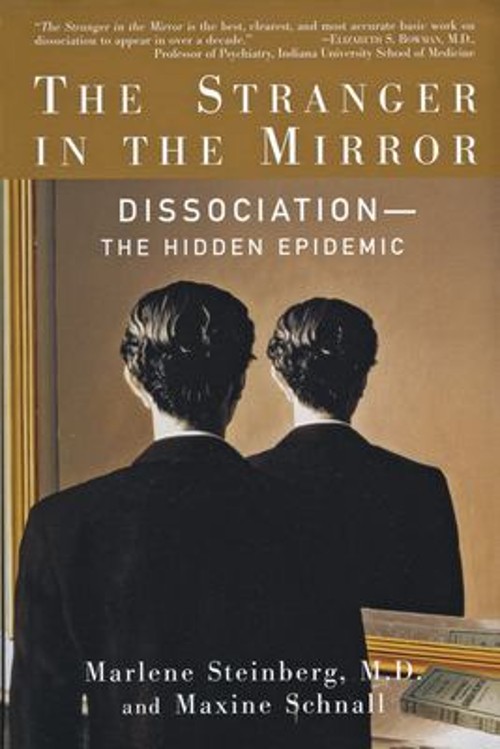 The Stranger in the Mirror : The Hidden Epidemic Paperback