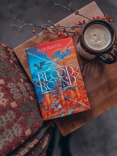 4 Limited Special Edition Book lot Illumicrate Broken Binding incl BLOOD BOUND