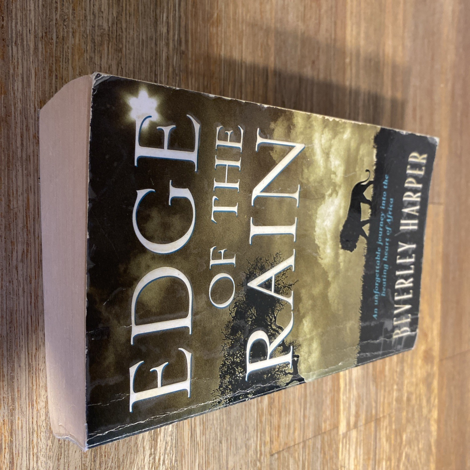 Edge of the Rain by Beverley Harper