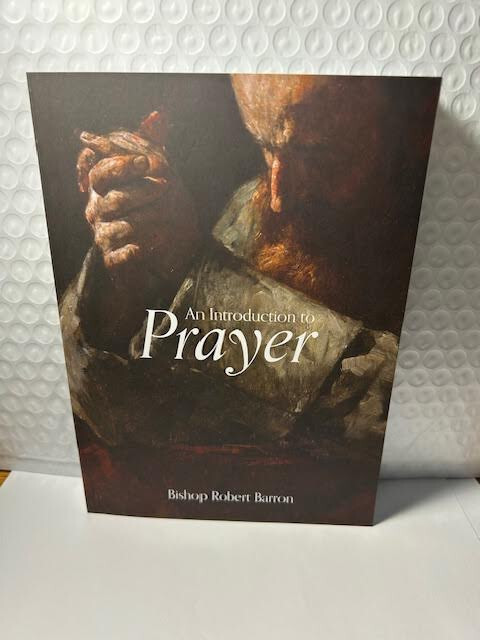 Introduction to Prayer (NEW) by Bishop R. Barron-Word on Fire Pub. 2024! $4.00