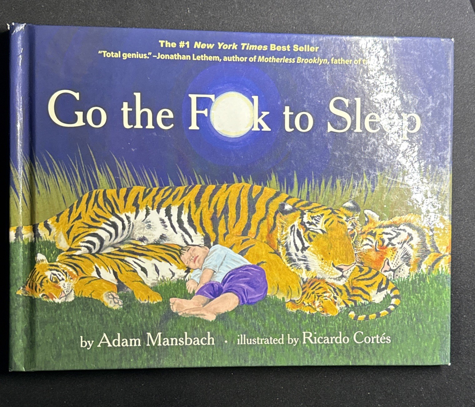 Go the Fuck to Sleep; Go the F to Sleep- 9781617750250, hardcover, Adam Mansbach