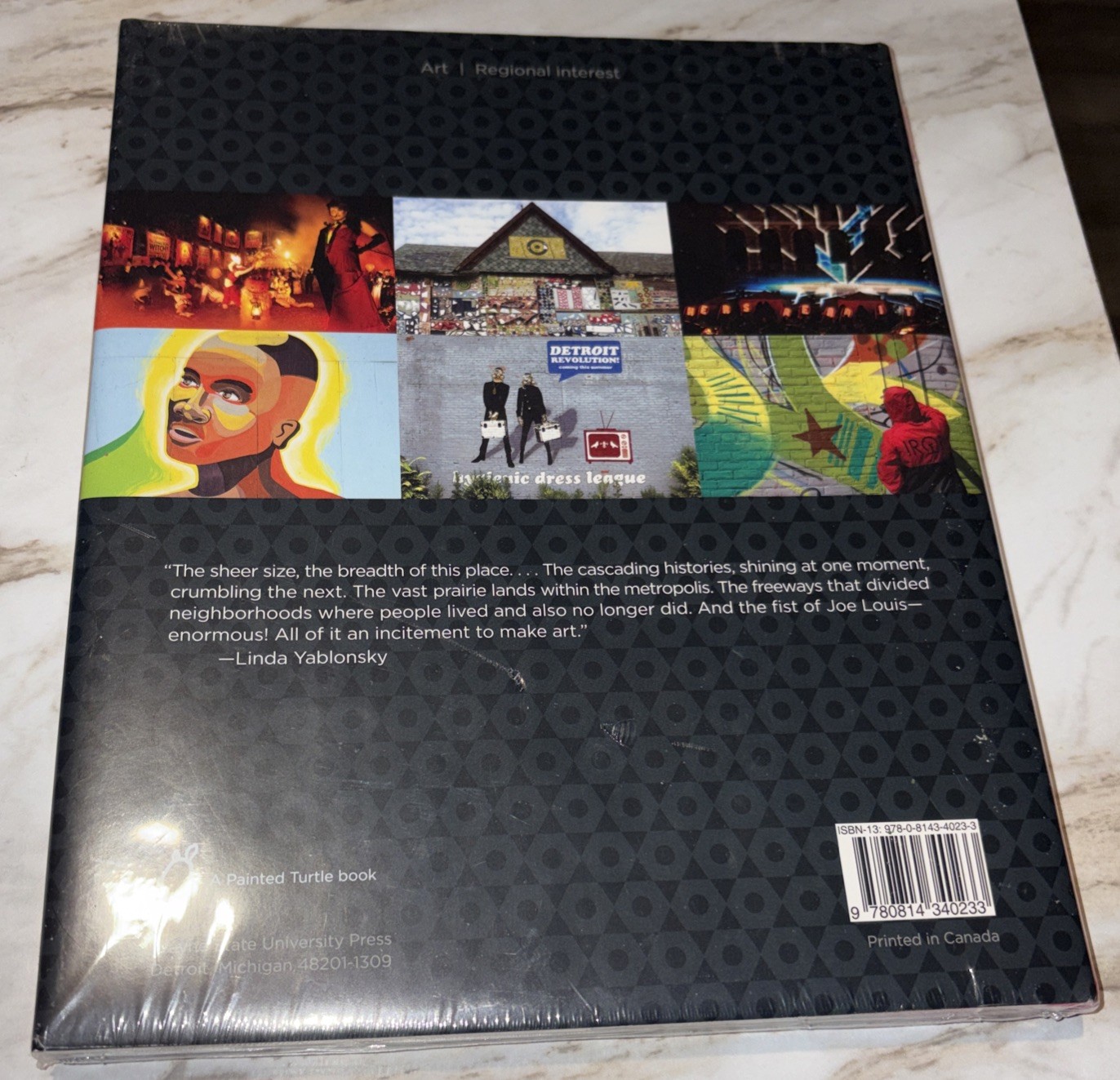 CANVAS DETROIT (PAINTED TURTLE) By Julie Pincus & Nichole Christian HC NEW