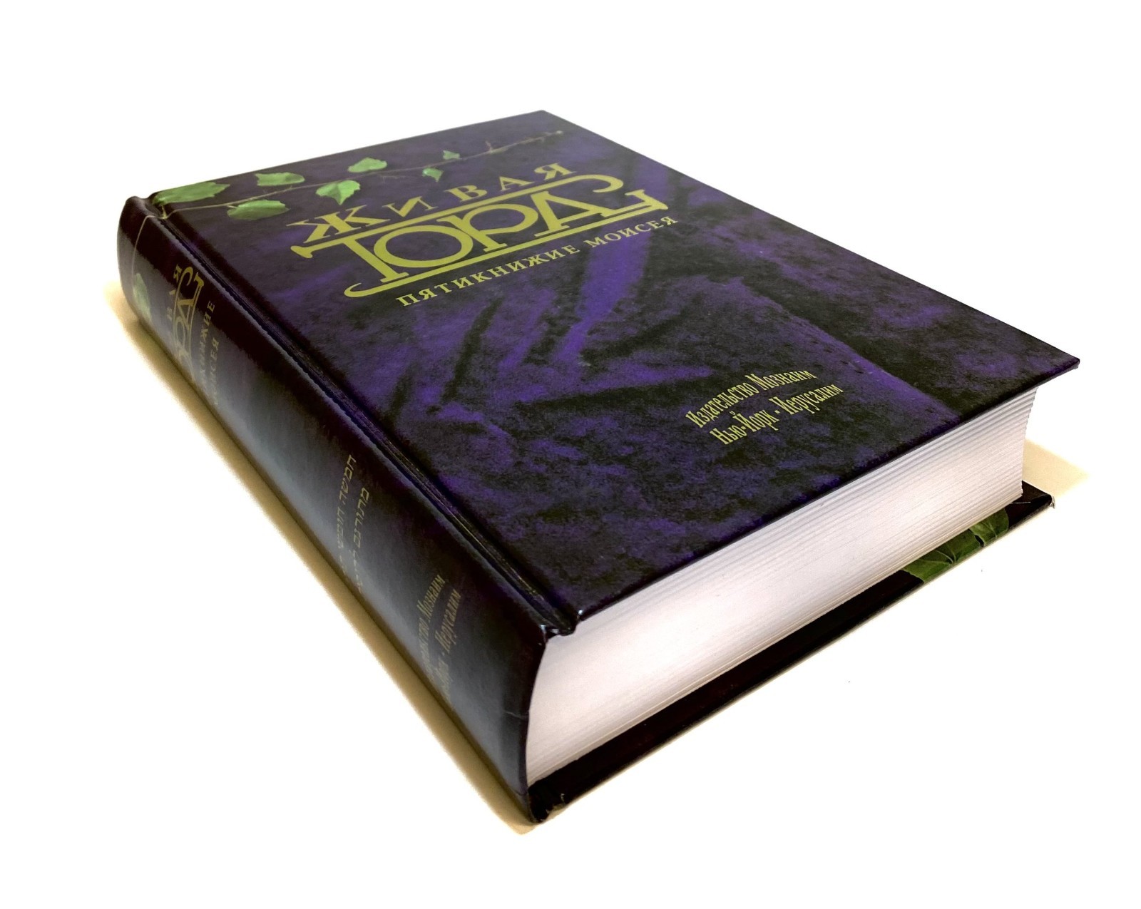 Russian English Parallel Bible Medium Size Zipper Index Русско Английская Библия