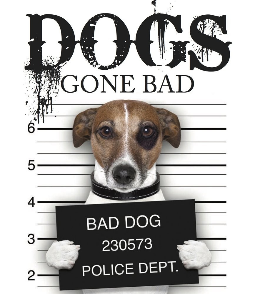 Dogs Gone Bad (Mini Gift) – Russell, Jack – Good – See condition notes