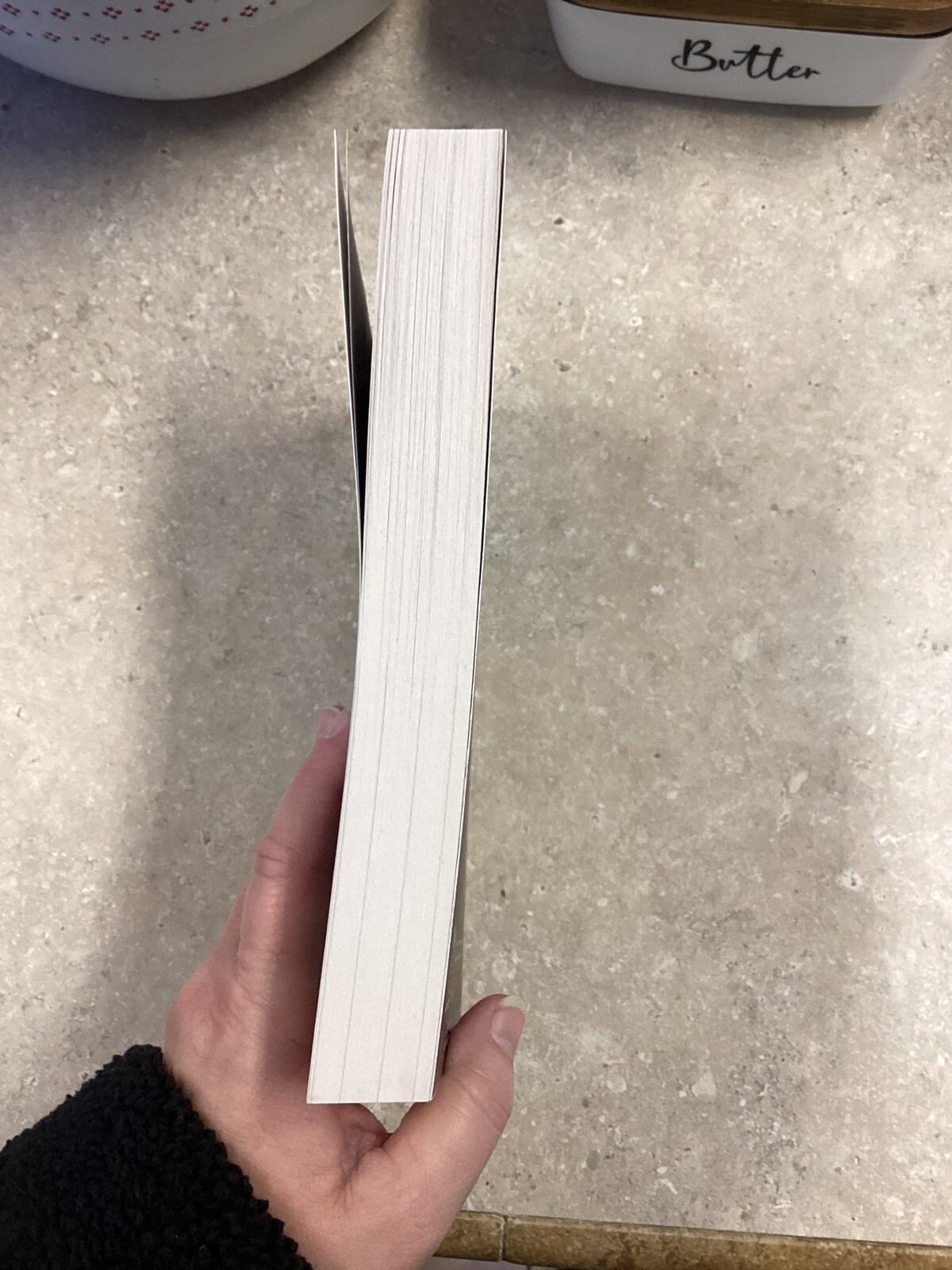 The Last Session Julia Bartz ARC Book Uncorrected Proof 2025