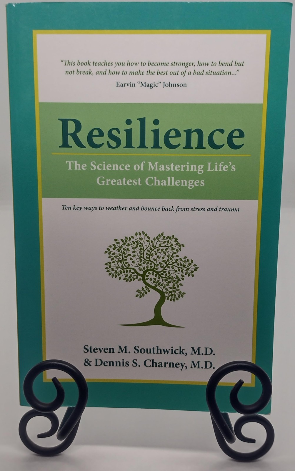 Resilience: The Science of Mastering Life’s Greatest Challenges – paperback …