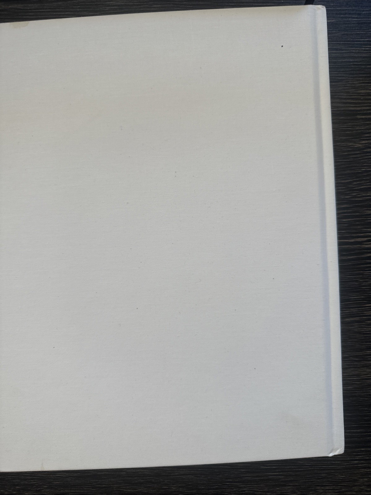 Fred Sandback: Light, Space, Facts – Hardcover, by Rales Emily No Dusk Jacket