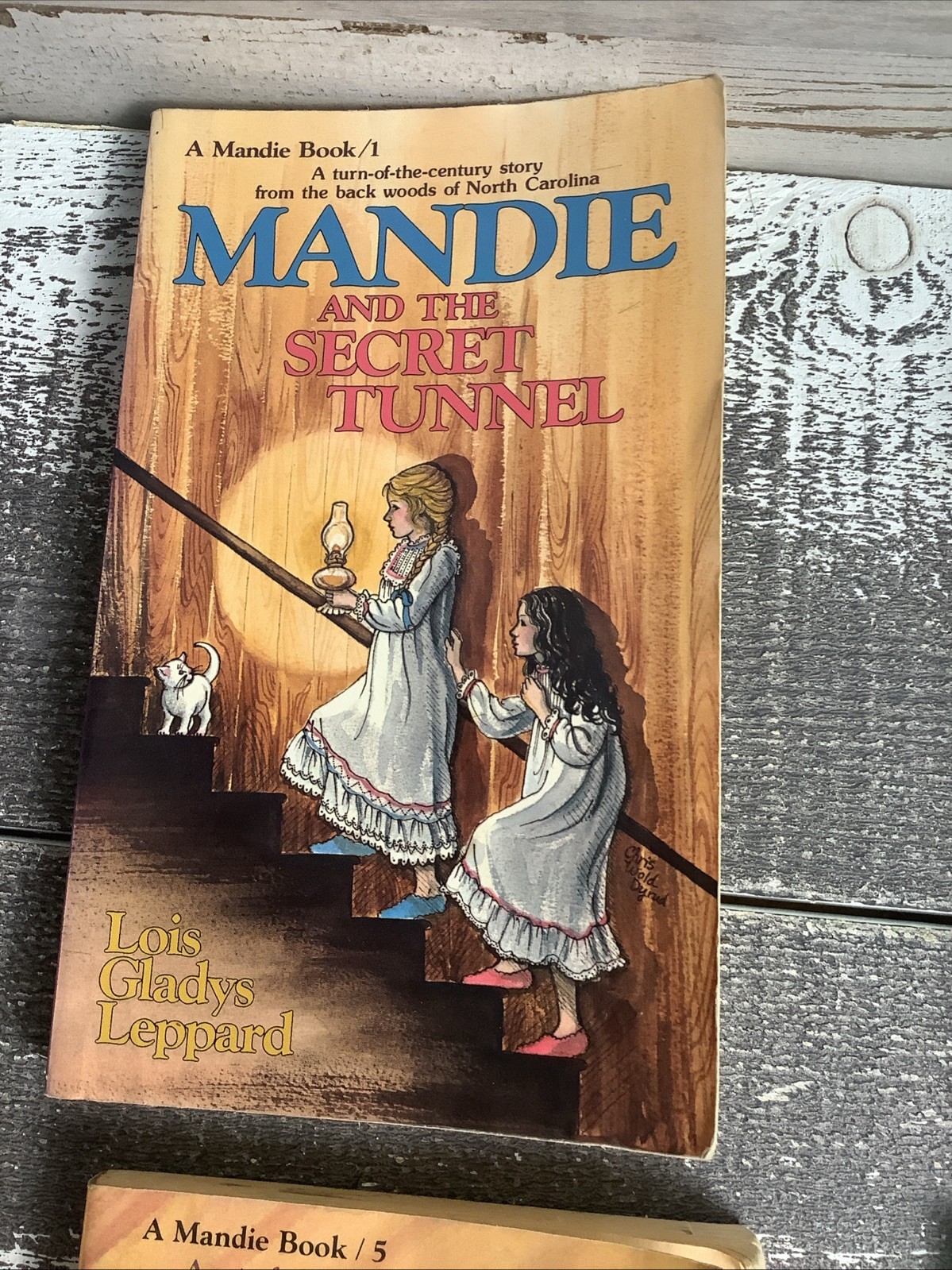A Mandie Book 7 In Total, Books 1,2,3,5,6,9.16