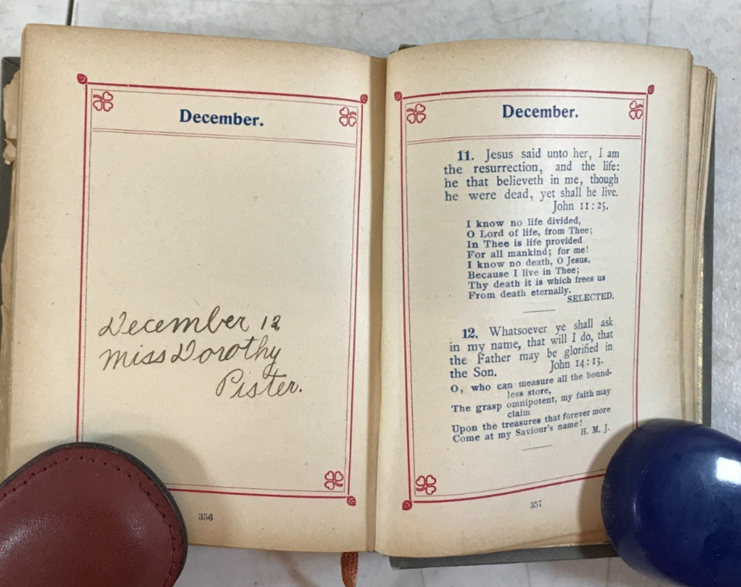 Forget me not; Scripture Texts, 1911, E-92