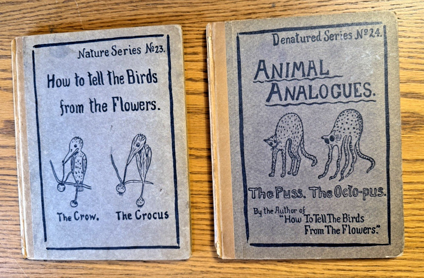 VTG 1907 How to Tell the Birds from the Flowers & 1908 Animal Analogues by Wood