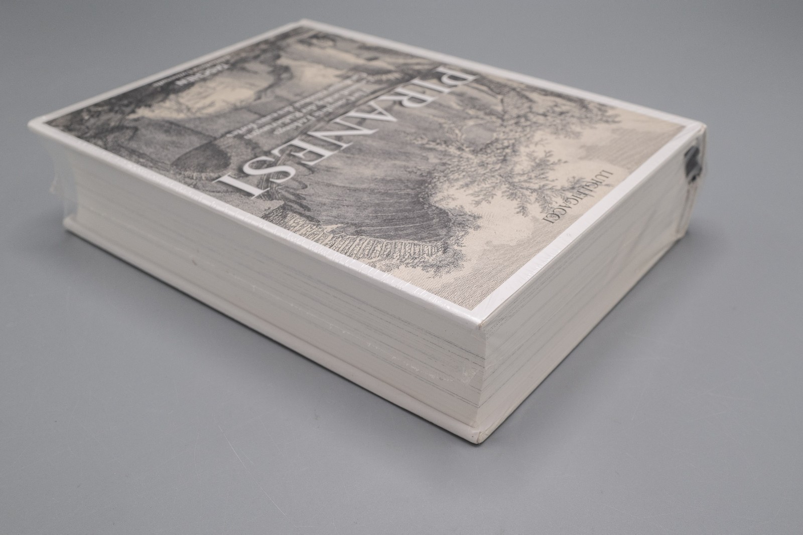 Piranesi. the Complete Etchings by Luigi Ficacci (2016, Hardcover) *NEW*