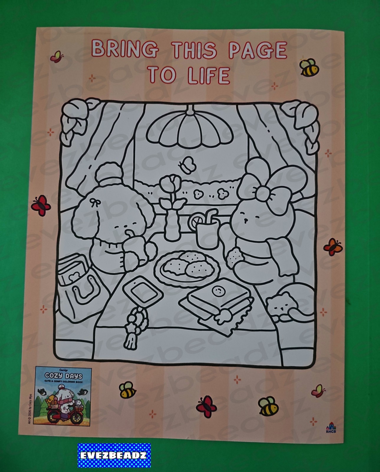 EvezBeadz Cozy Coloring with Coco Wyo Brand New BAM 2026 Bold Easy Kawaii Rare