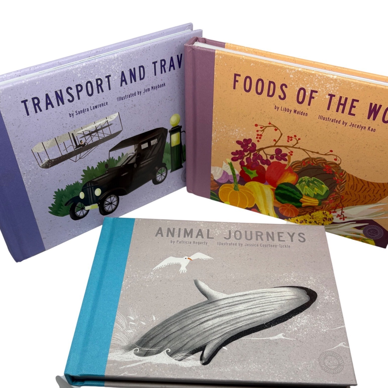 360 Degrees Childrens Book Set Animal Journeys Transport Foods of the World 3pc