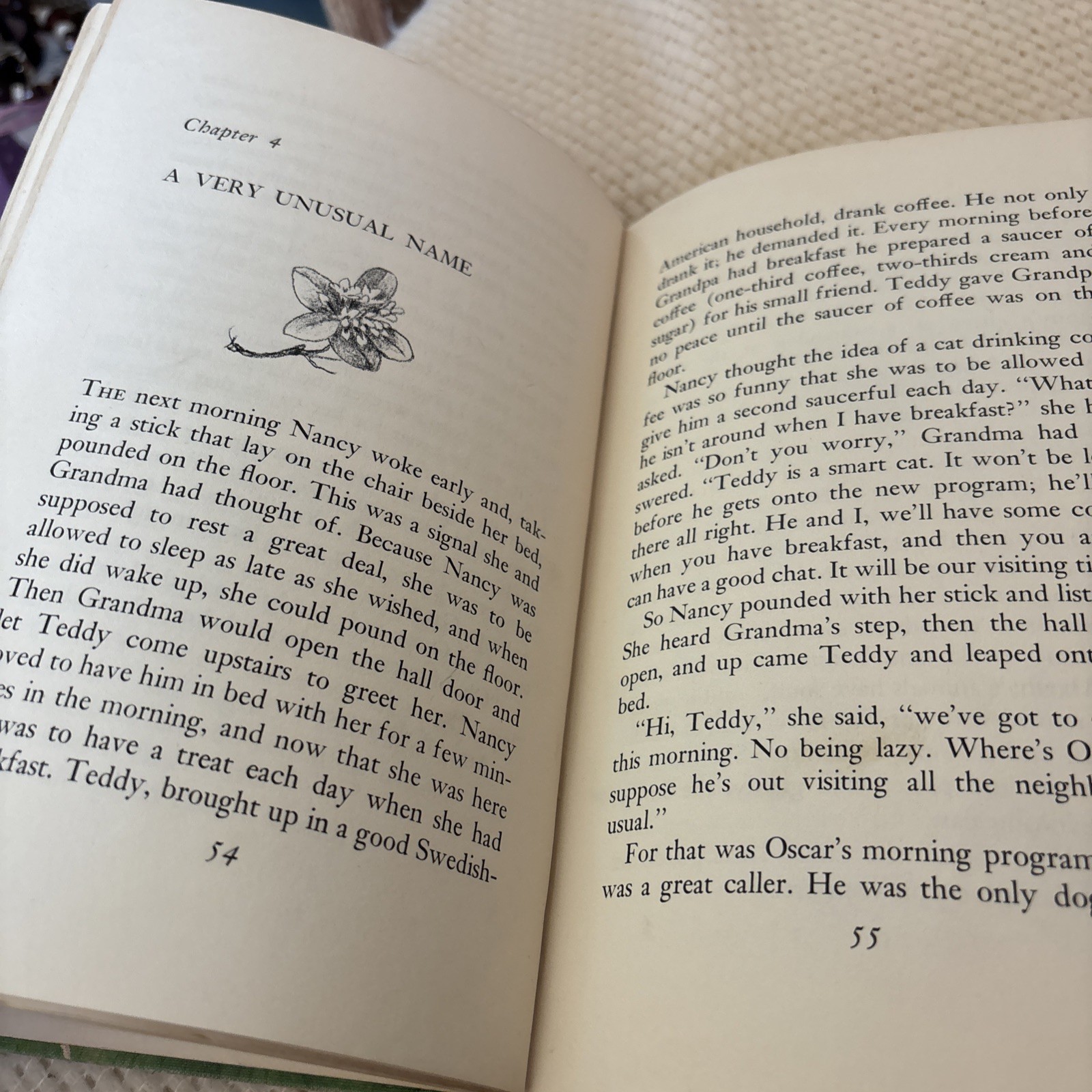 The Golden Name Day by Jennie D Lindquist Previous High School Library Book.