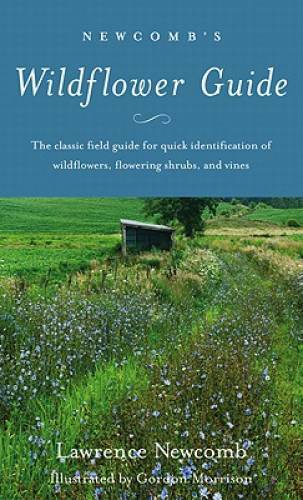 Newcomb’s Wildflower Guide – Paperback By Lawrence Newcomb – GOOD