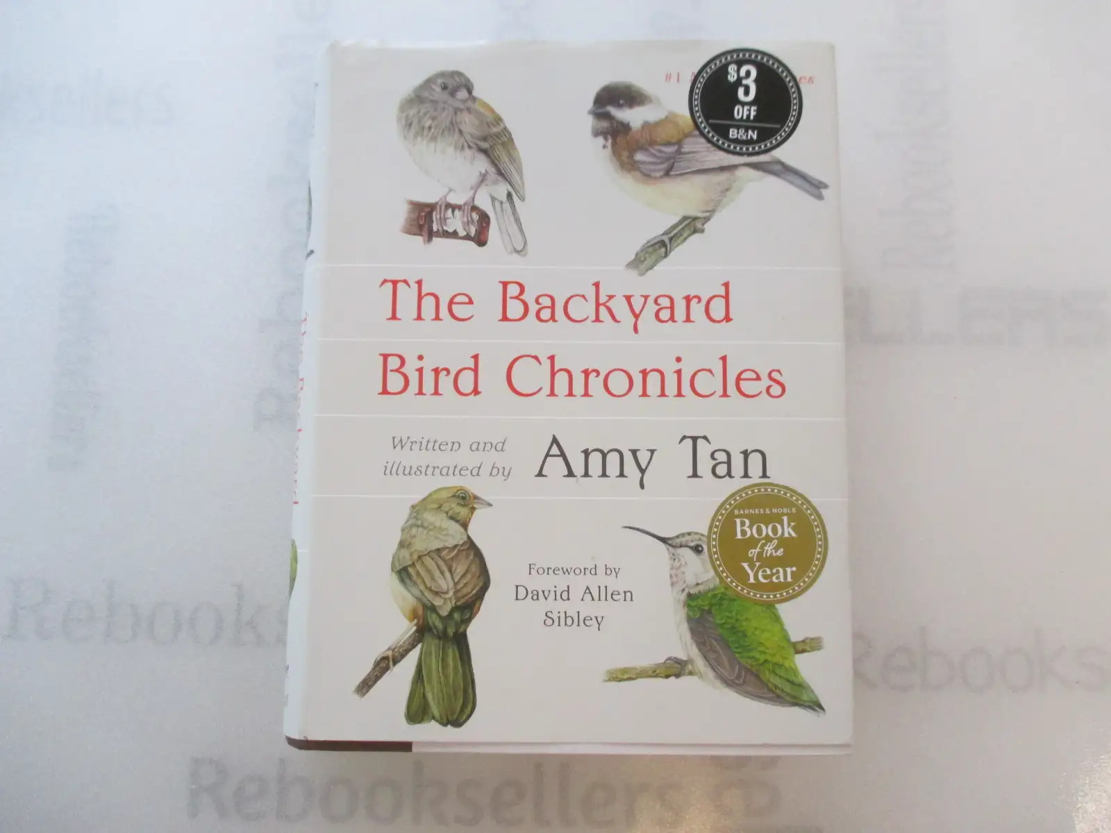 The Backyard Bird Chronicles