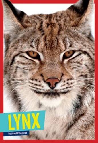 Lynx (Wild Cats) – Paperback By Ringstad, Arnold – GOOD