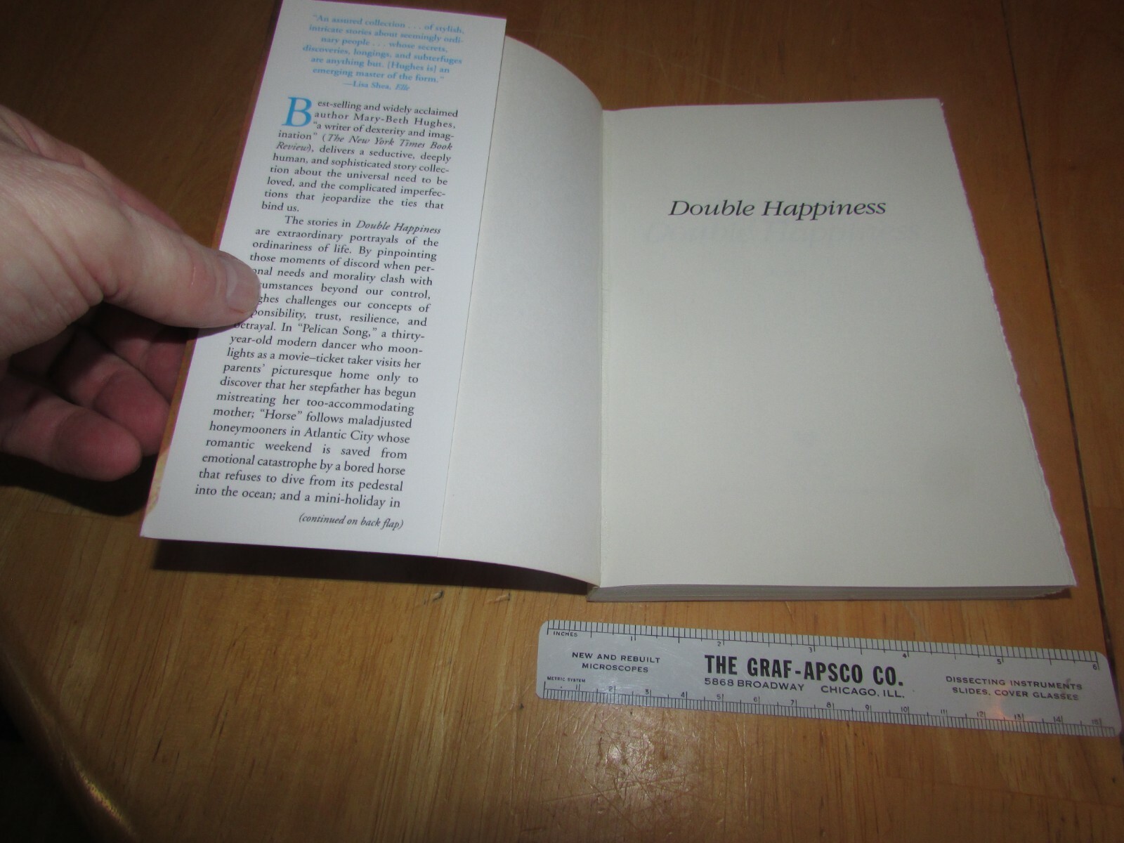 Double Happiness : Stories by Mary-Beth Hughes (2010, Trade Paperback)