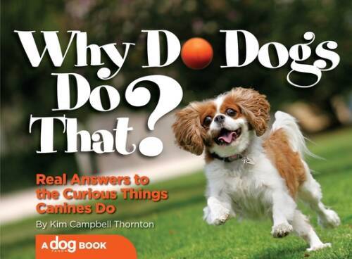 Why Do Dogs Do That: Real Answers to the Curious Things Canines Do – GOOD