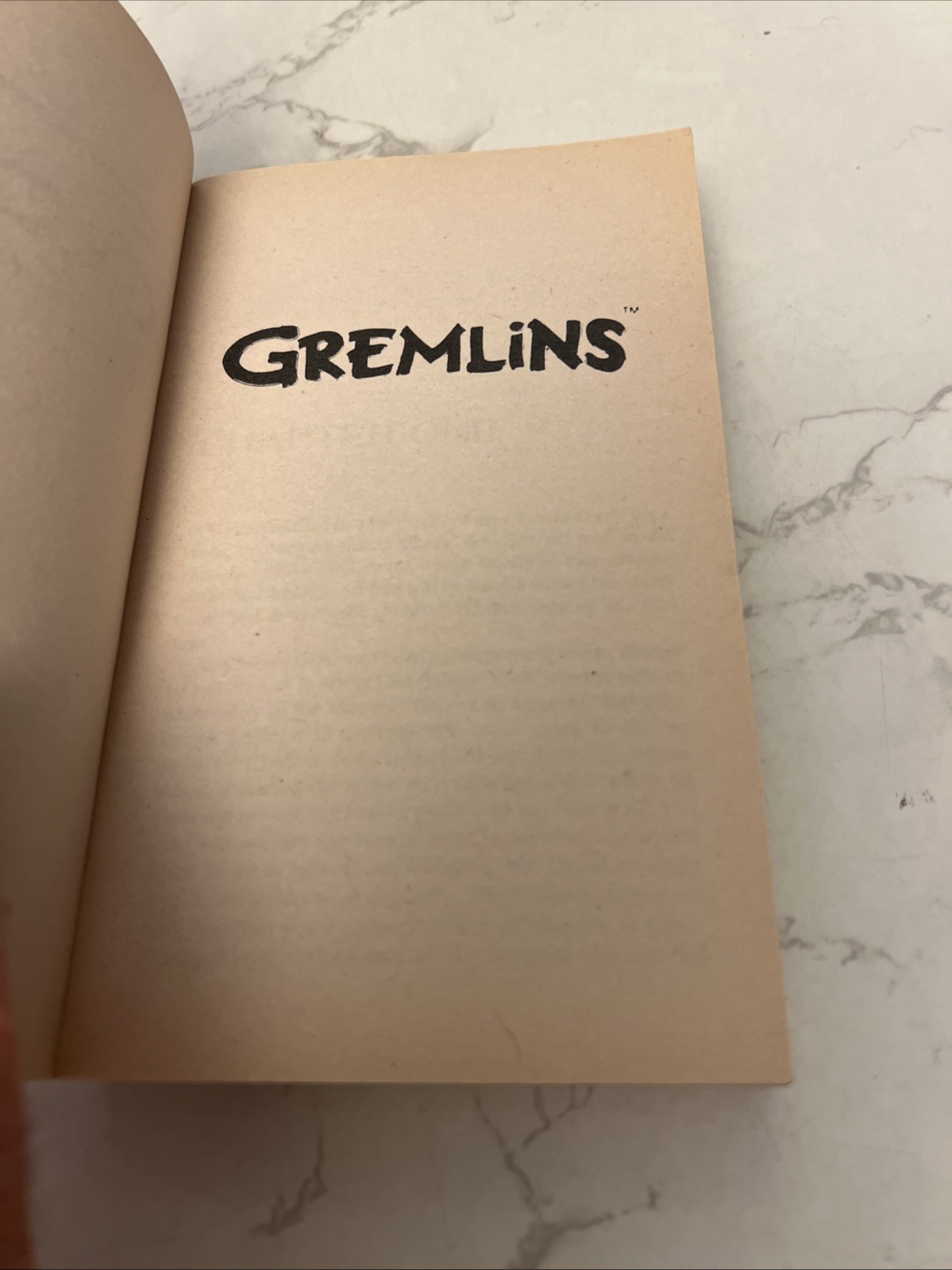 Gremlins by George Gipe 1984 1st Avon printing Steven Spielberg Vintage