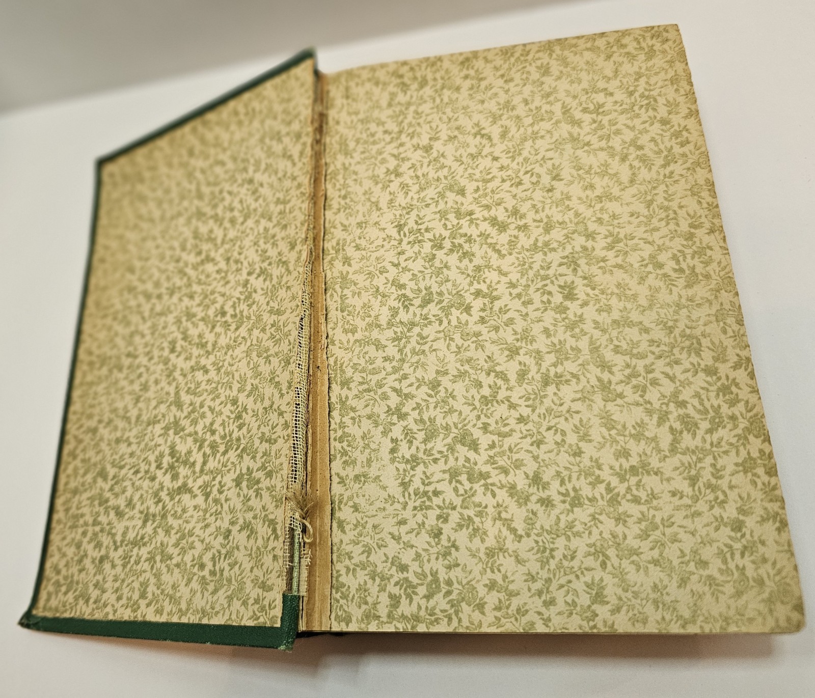 The Uncrowned King: First Edition – Illustrated – Hardcover – Collectible – 1891