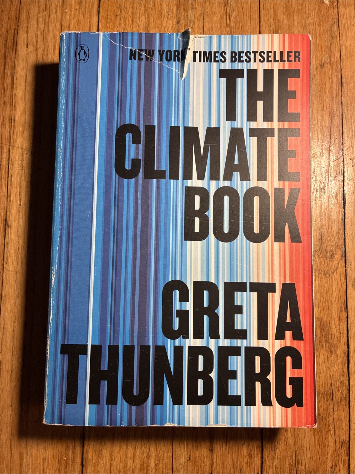 Climate Book : The Facts and the Solutions by Greta Thunberg (2024, Trade…