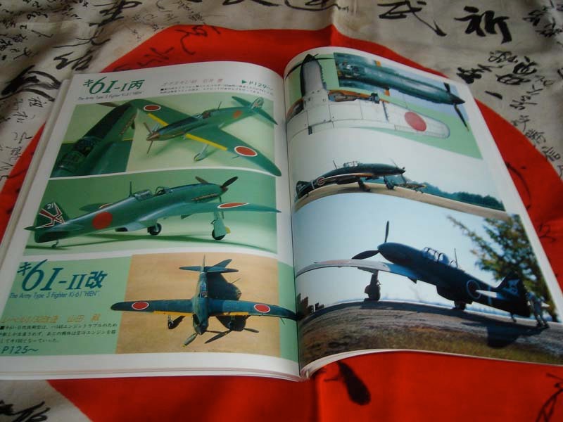 KAWASAKI Ki-61 HIEN TYPE 3 FIGHTER Vintage Model Art 263 FREE USA POSTAGE!