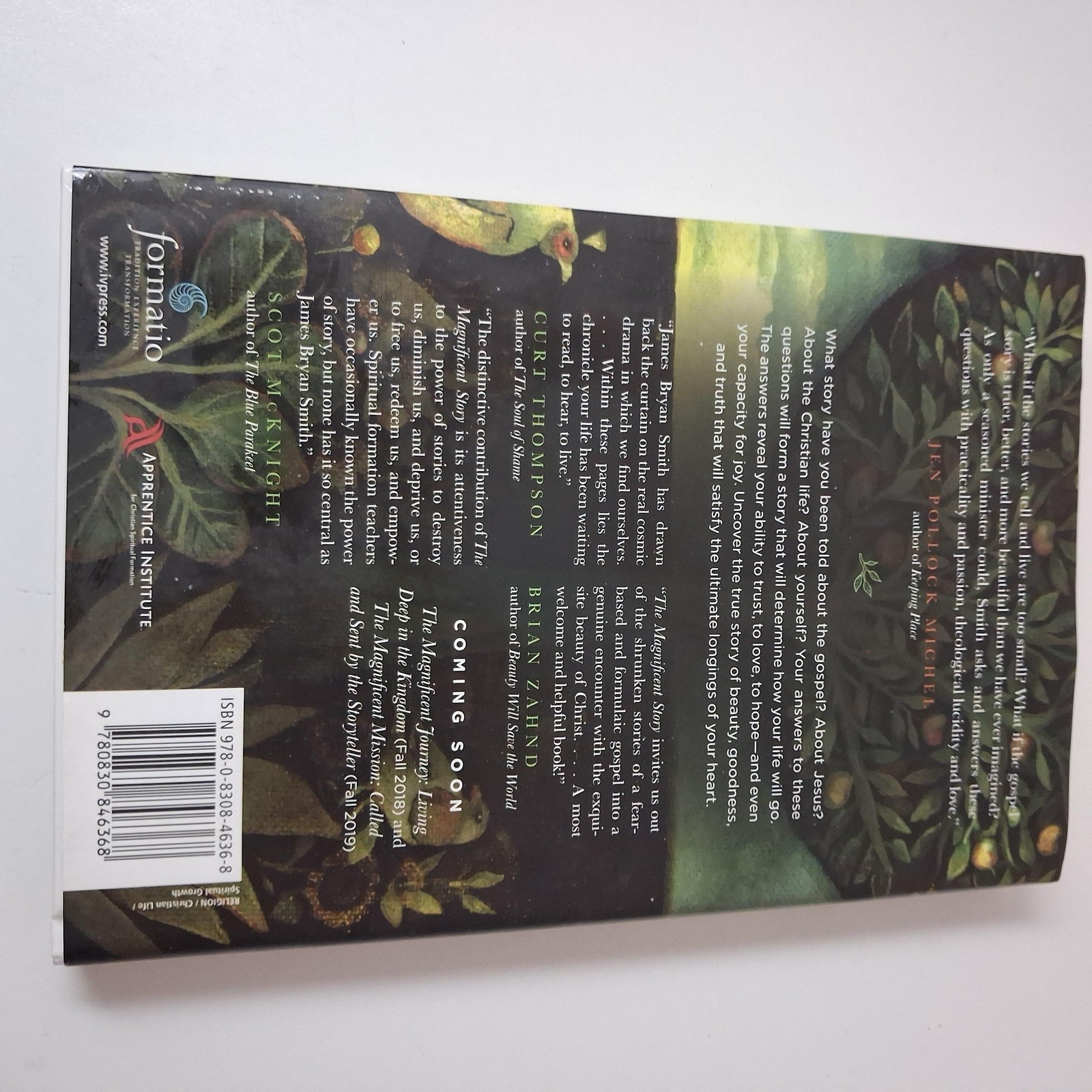 The Magnificent Story James Bryan Smith HC Christian Spiritual Formation Book