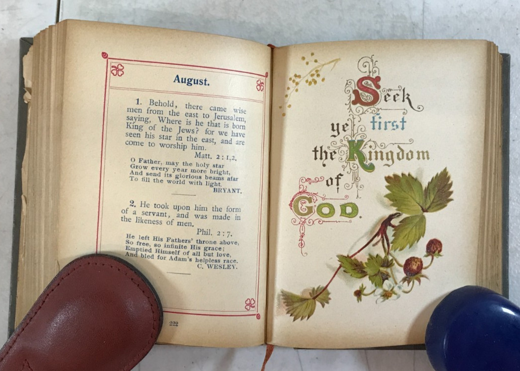 Forget me not; Scripture Texts, 1911, E-92