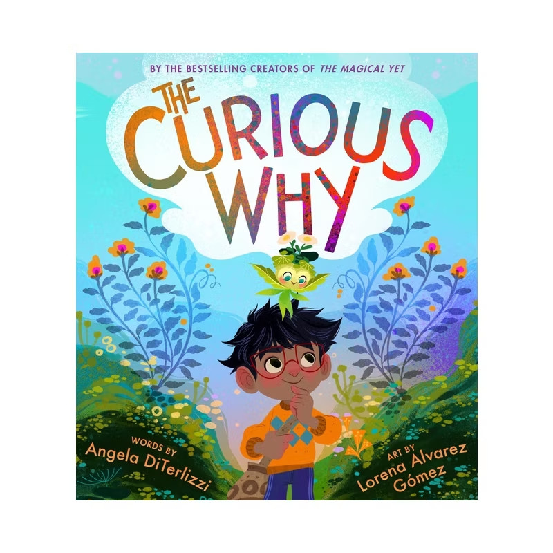 The Curious Why – (The Magical Yet) by Angela Diterlizzi (Hardcover)
