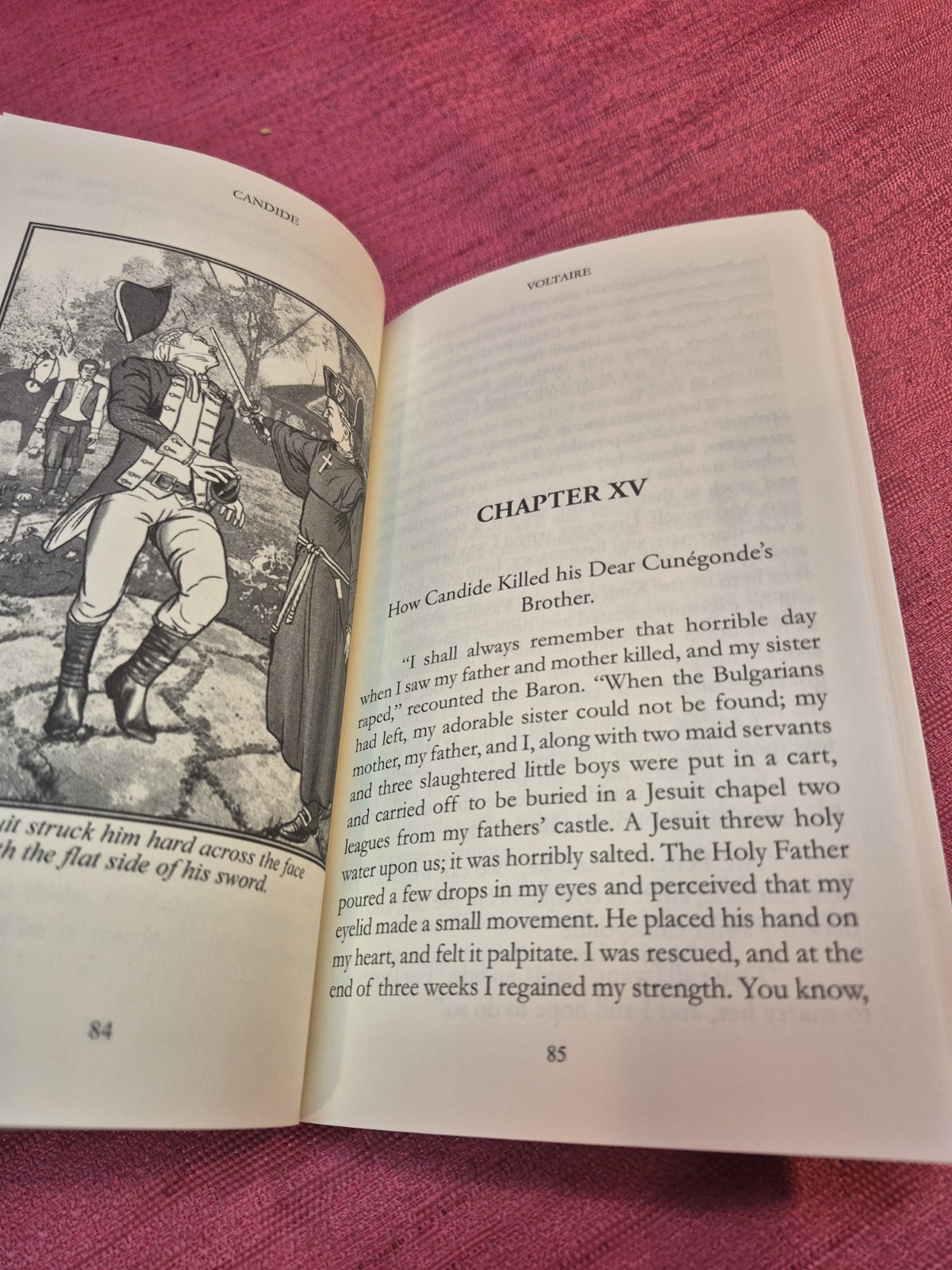 Voltaire Candide Translated & Illustrated Robert Schoolcraft 2019 PB Rare