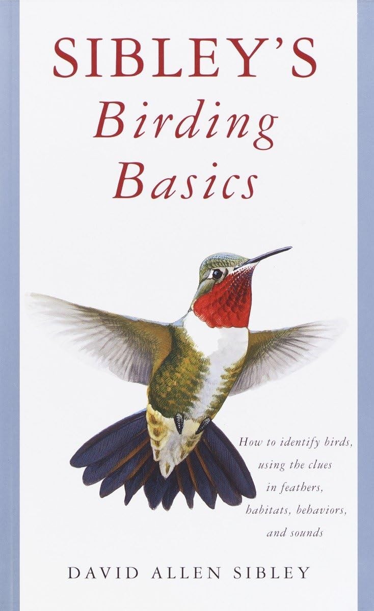 Sibley’s Birding Basics (Sibley Guides)