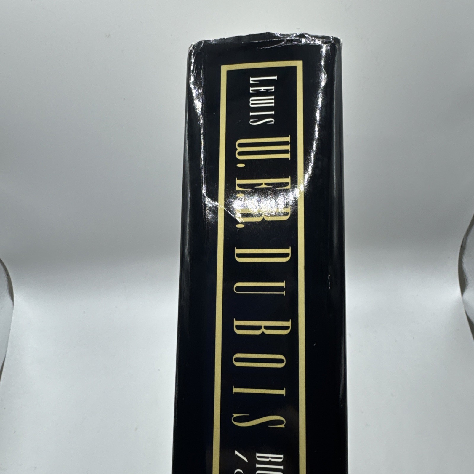 W. E. B. Du Bois: Biography by David L. Lewis (Hardcover, 1993) First Edition
