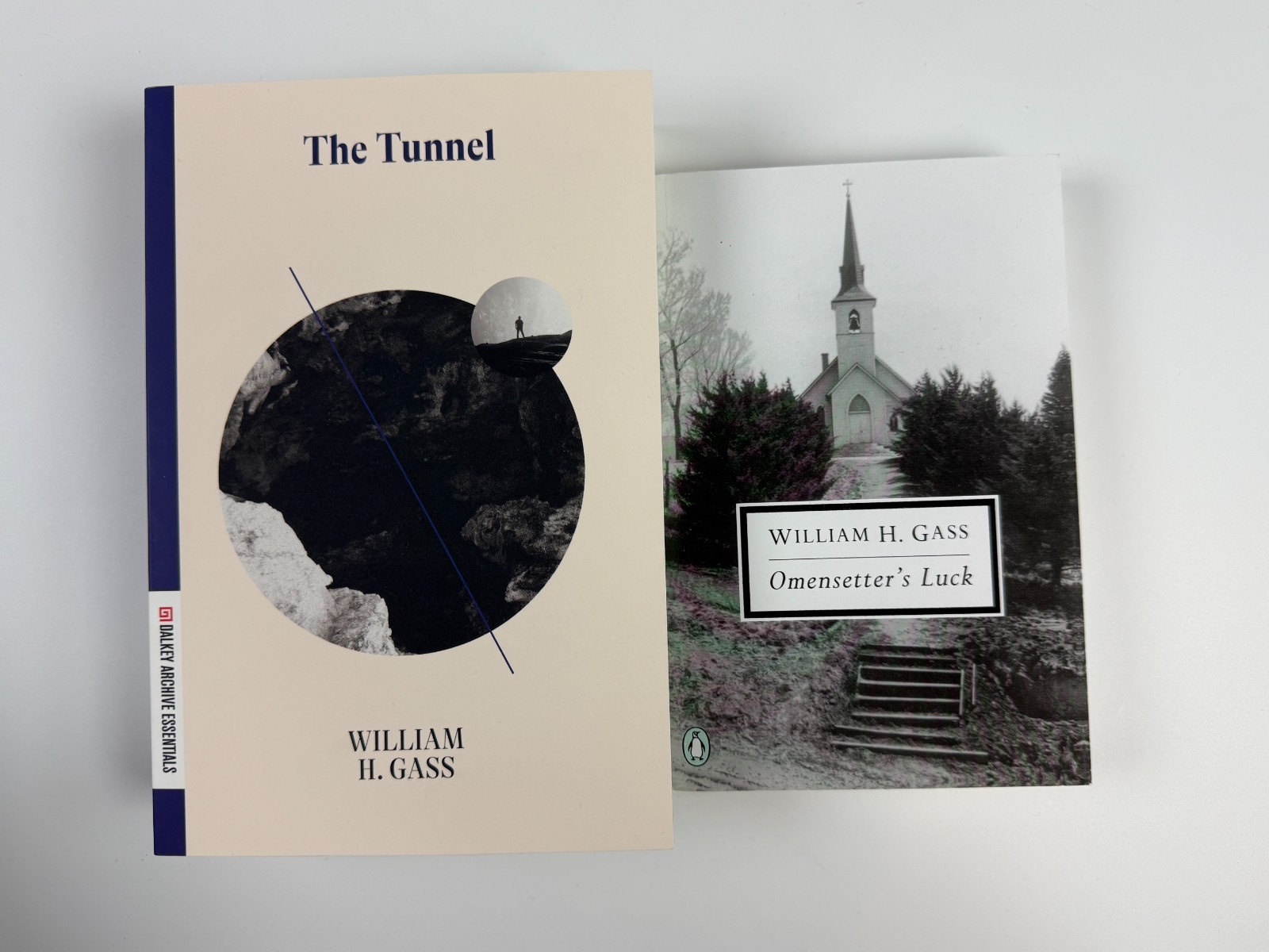The Tunnel & Omensetter’s Luck by William H. Gass Paperback Book
