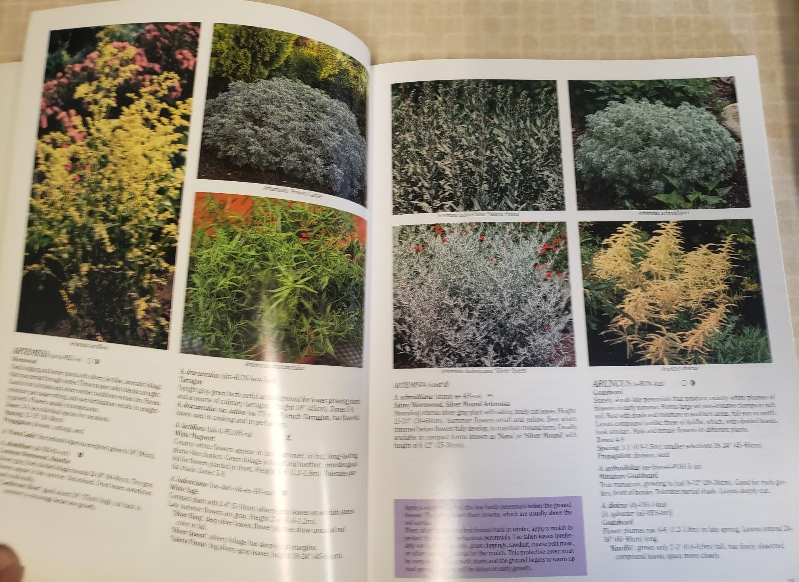 (D6.14) Lot of 3 Books: PERENNIALS and SHADE GARDENS