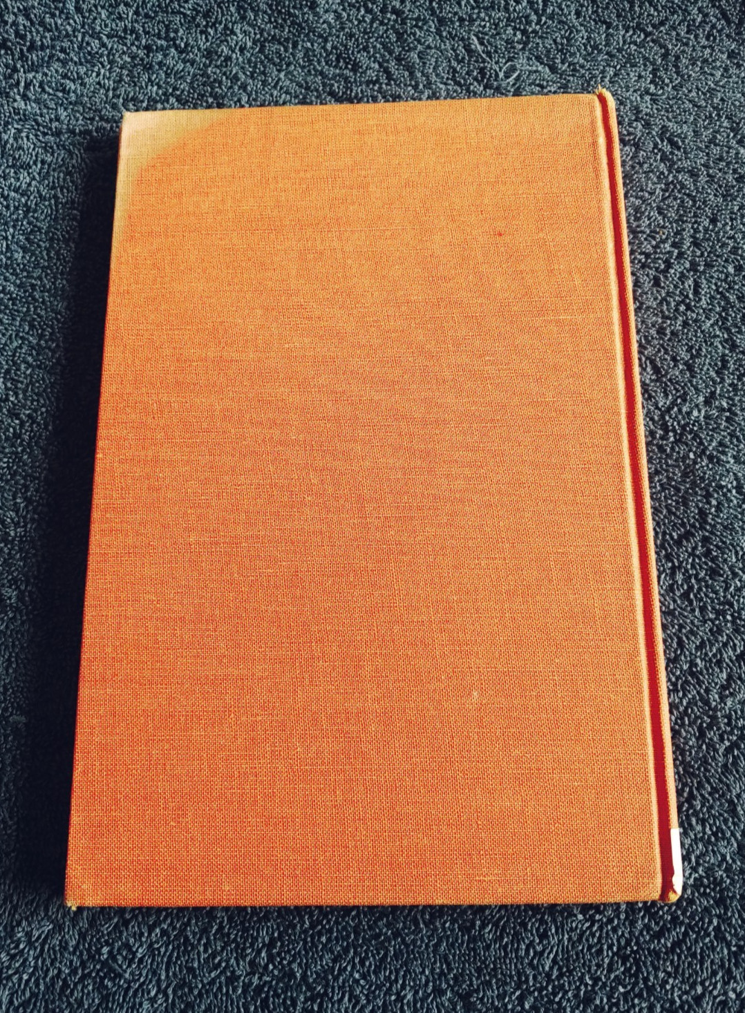 Desert Dan-Elizabeth Coatsworth-Harper Johnson-1960-Vintage Lit