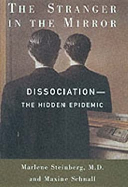 The Stranger in the Mirror : The Hidden Epidemic Hardcover