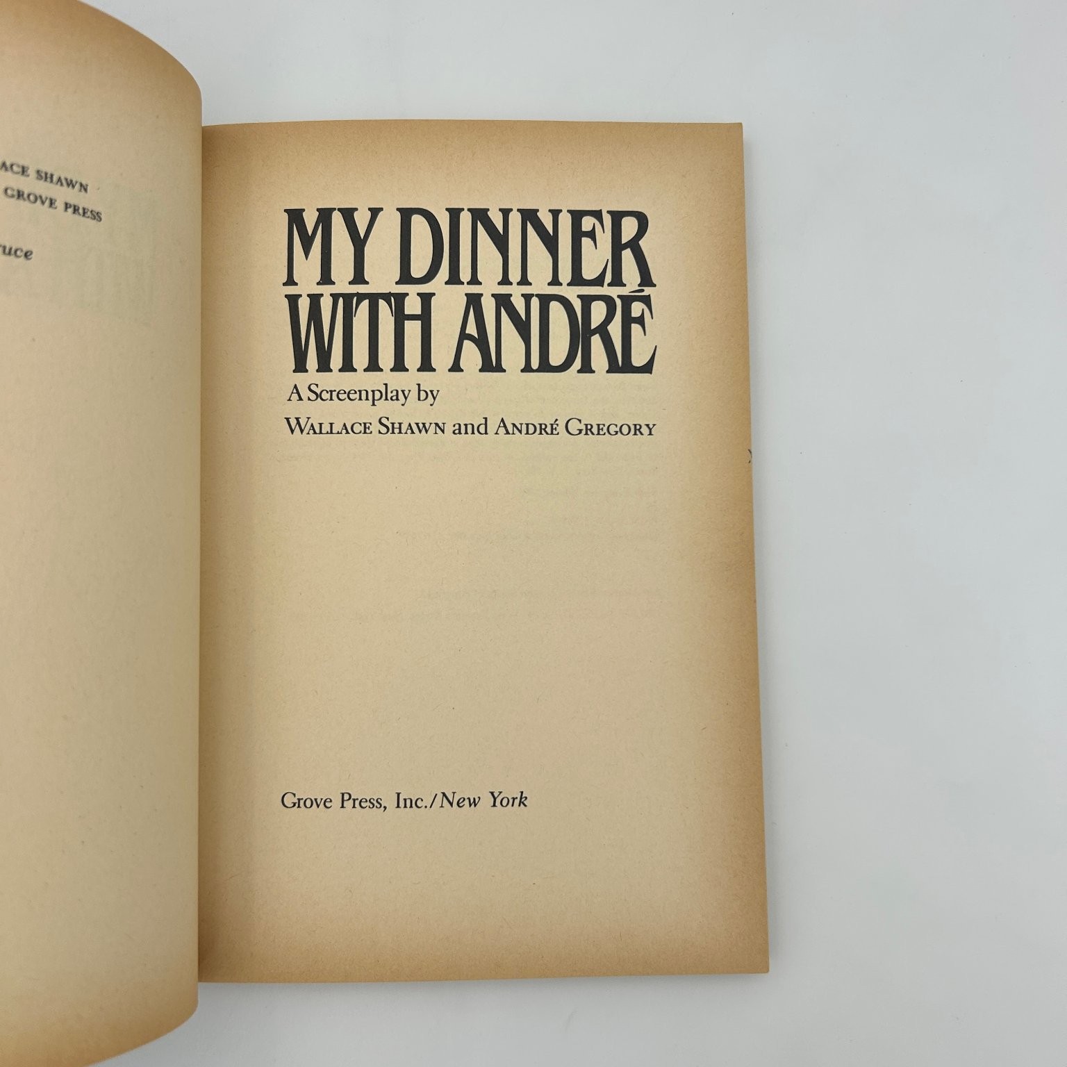 My Dinner with Andre Shawn Gregory 1981 First Evergreen Screenplay Grove Press