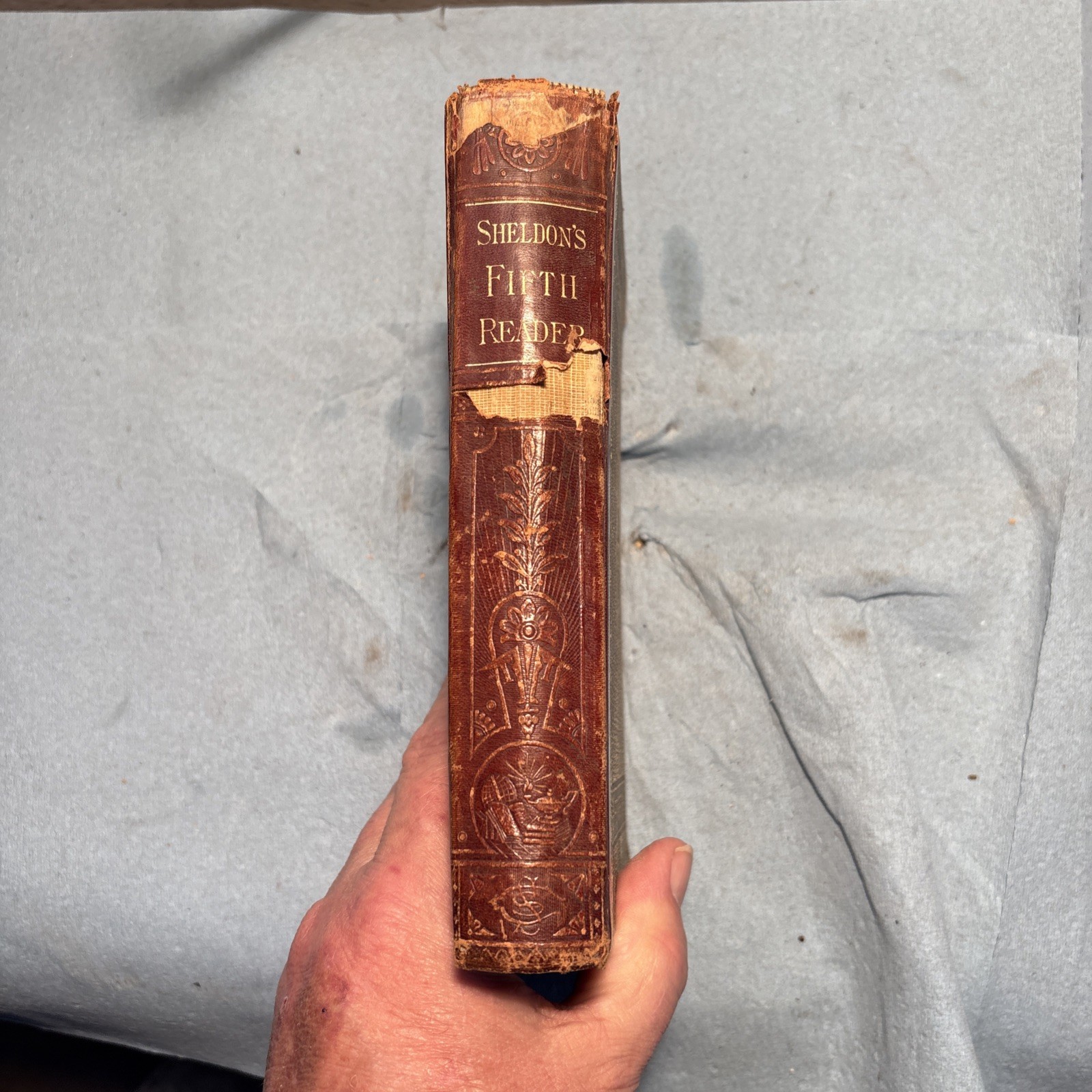 Sheldon’s Fifth Reader By E.A. Sheldon (Scribner,Armstrong,And Co. 1875 free shi