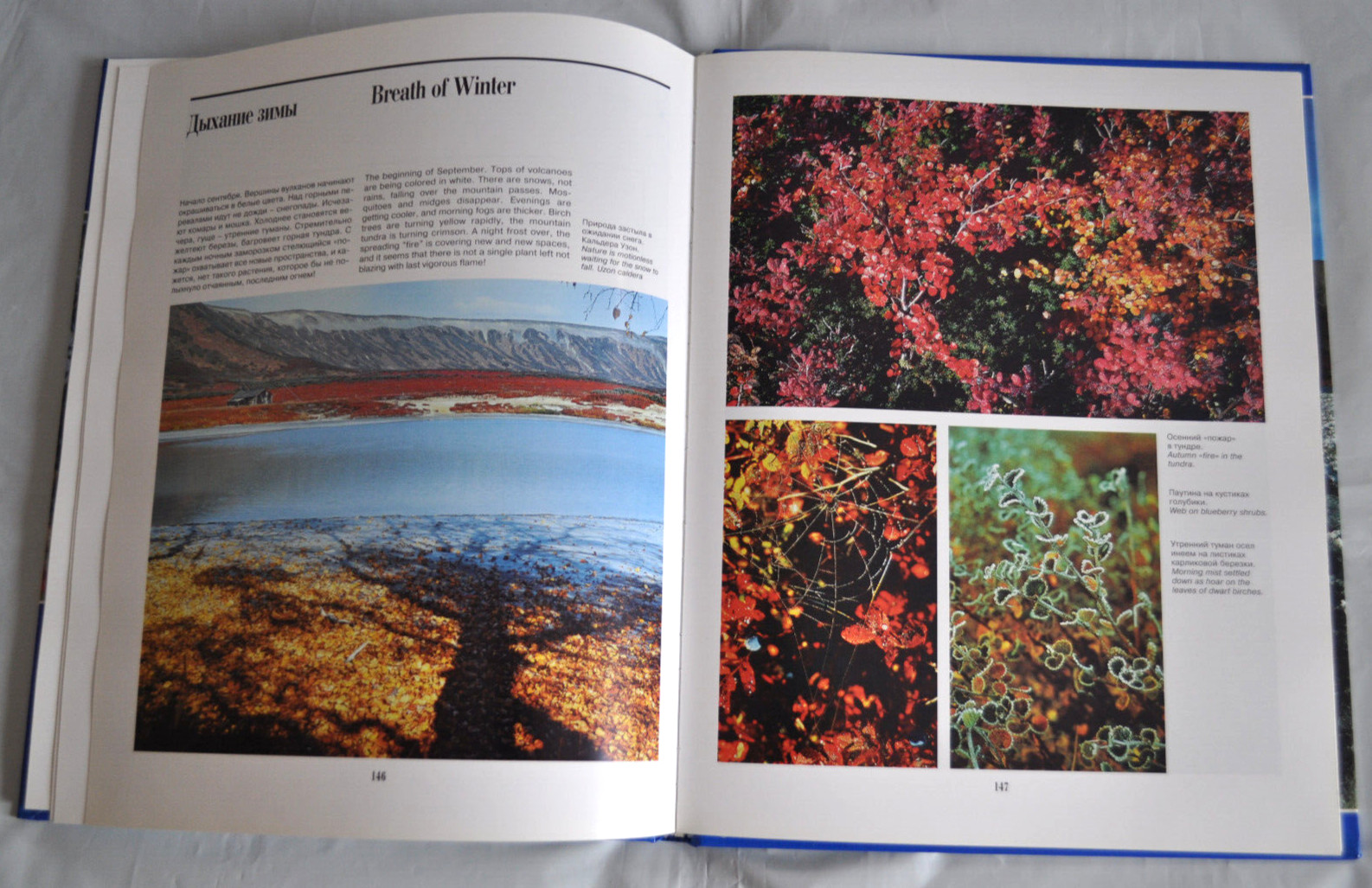 Чудеса земли Камчатки А. Нечаев Miracles of Kamchatka Land Russian English Book